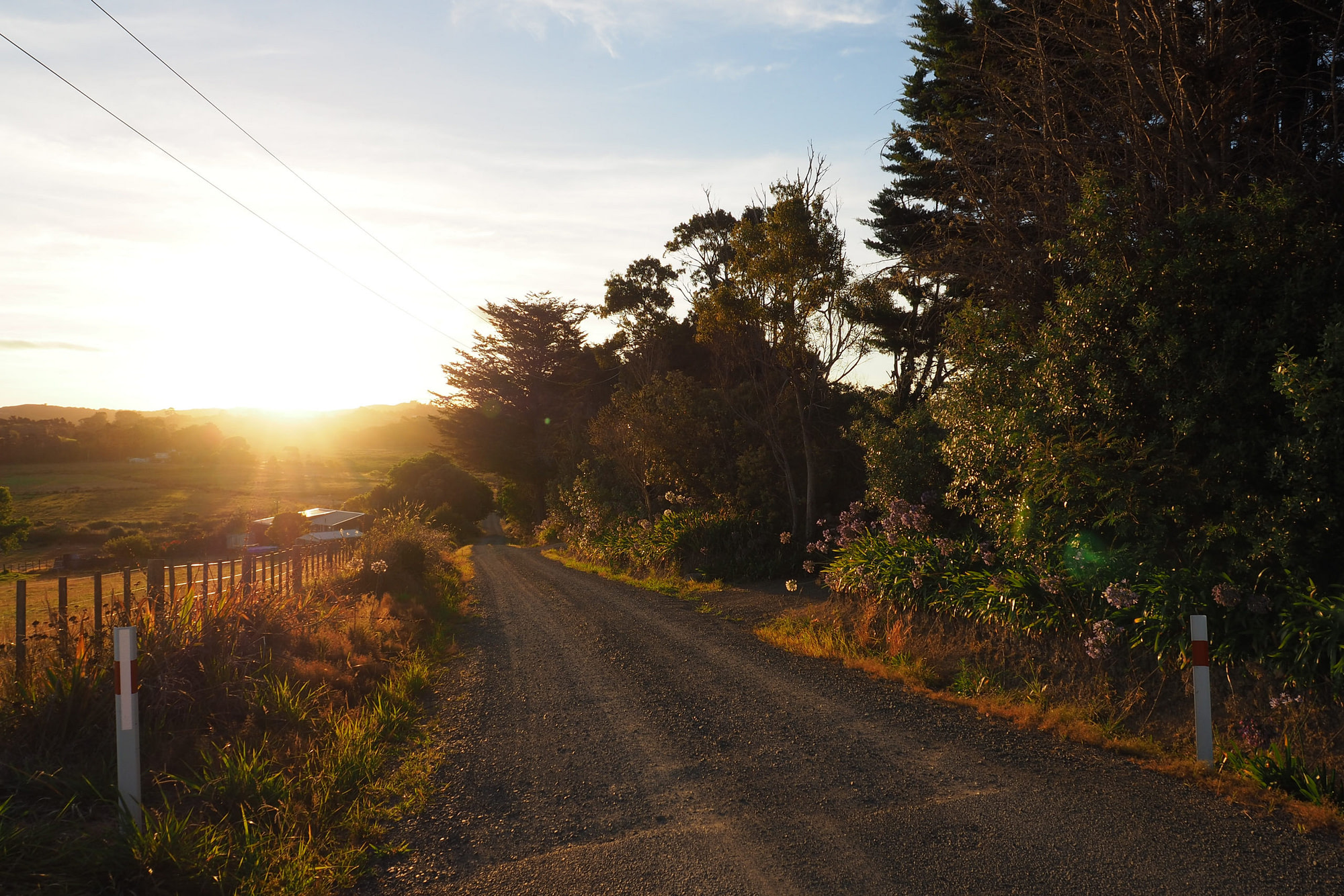 Gravel road at sunset with trees