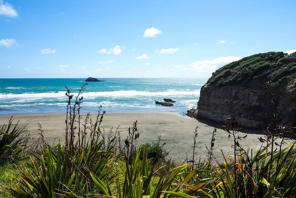 A view over a beach on a sunny day with native New Zealand flax in the foreground.