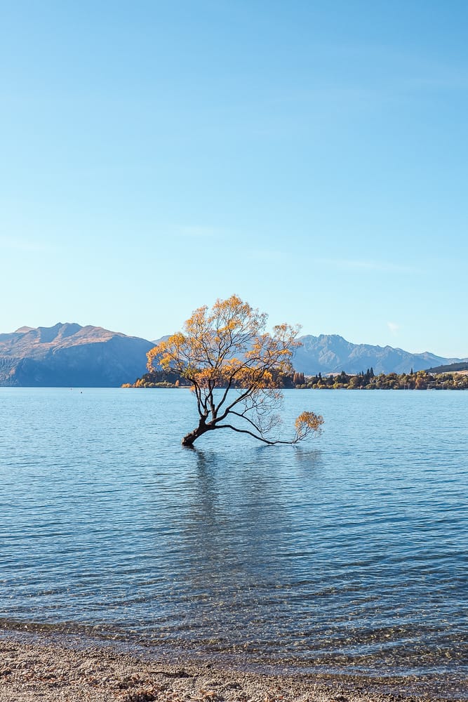 Wanaka, Queenstown Lakes District, New Zealand