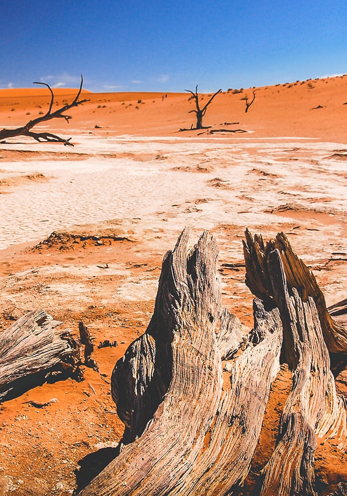 namib desert travel inspiration